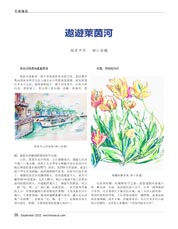 Image description
