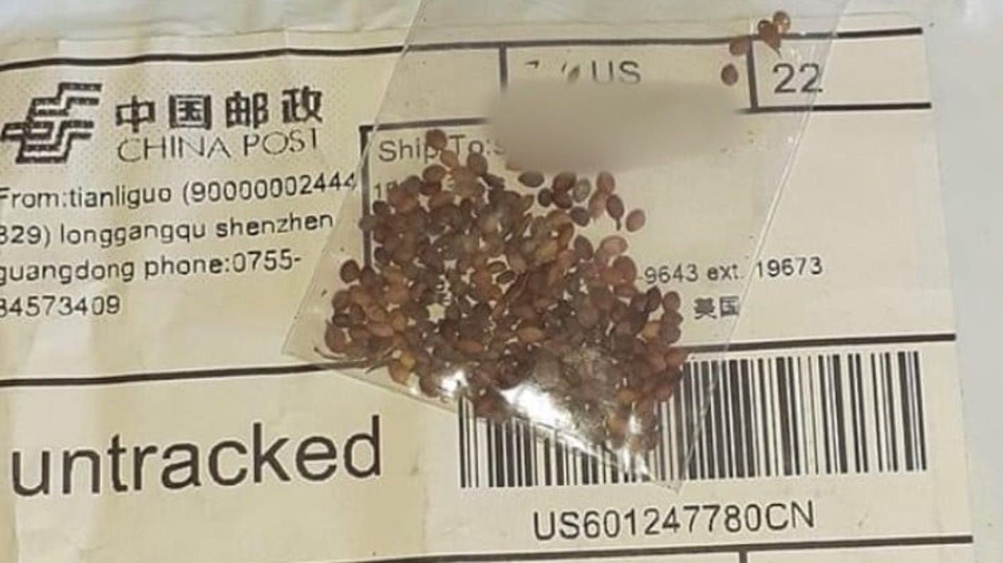 seeds 3
