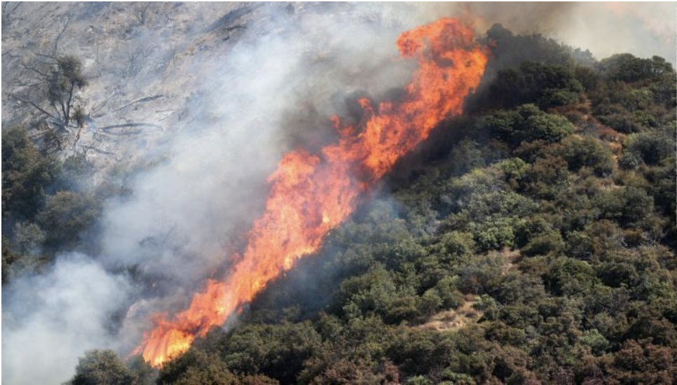 ca fire 4