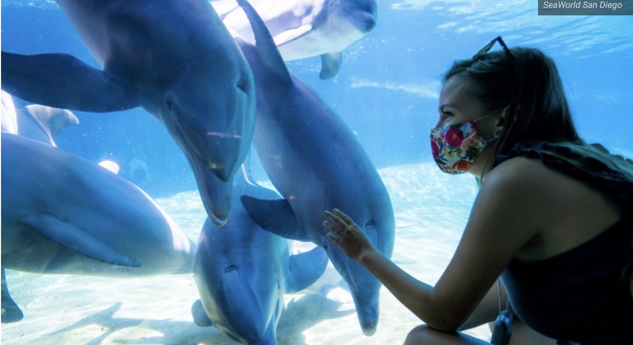 seaworld 1