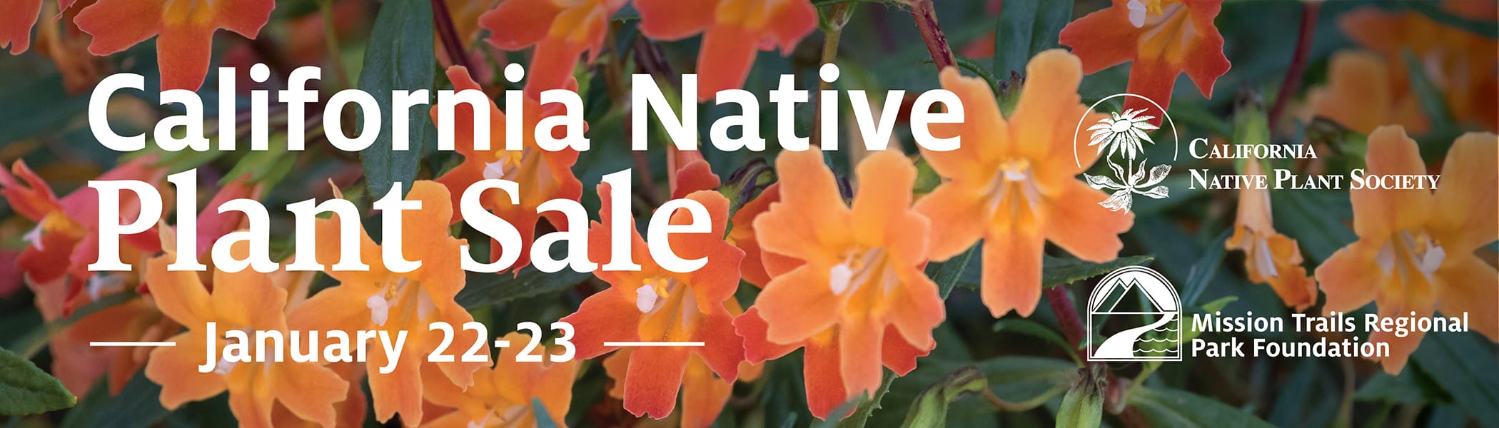 native plants v3