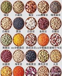 04 08豆类图片驾考预约大全