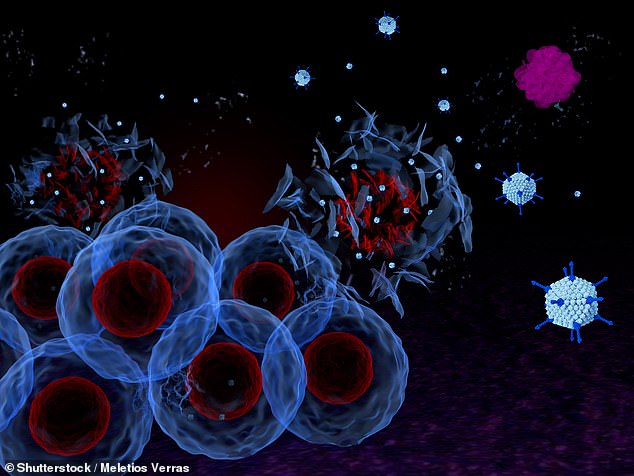 05 24 Vaxinia cancer treatment experiment 2