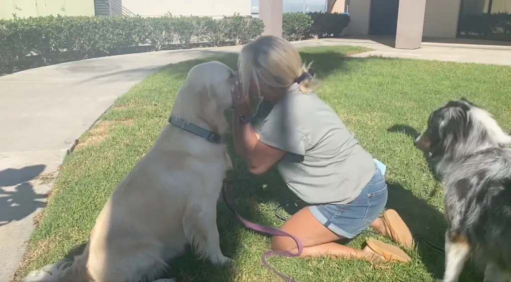 2023 03 18 amazon driver stealing dog 1