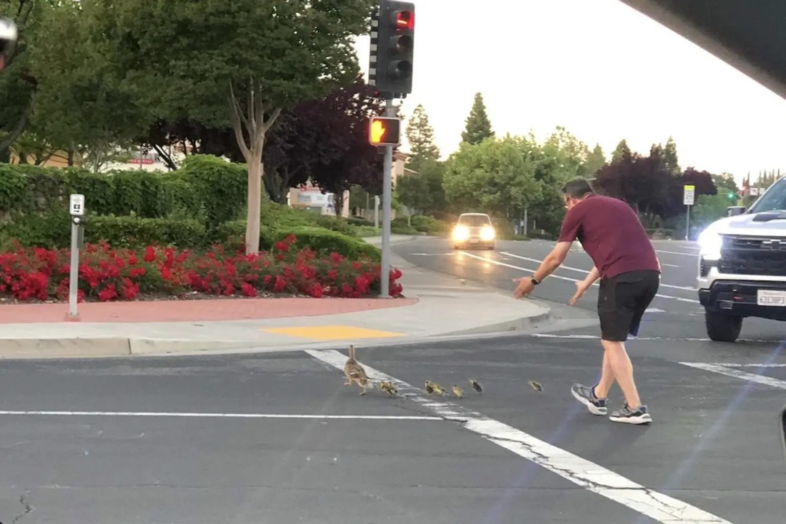 2023 05 23 duck 2