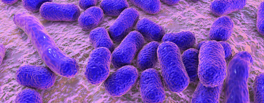 2023 05 25 Acinetobacter baumannii