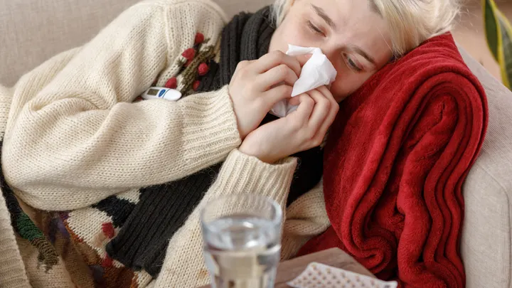 2023 11 06 common cole