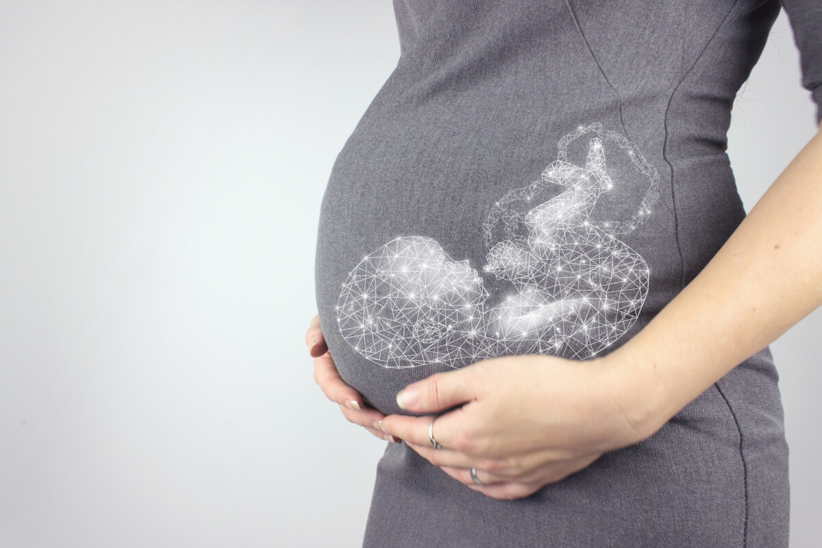 2024 07 31 mother fetus scaled