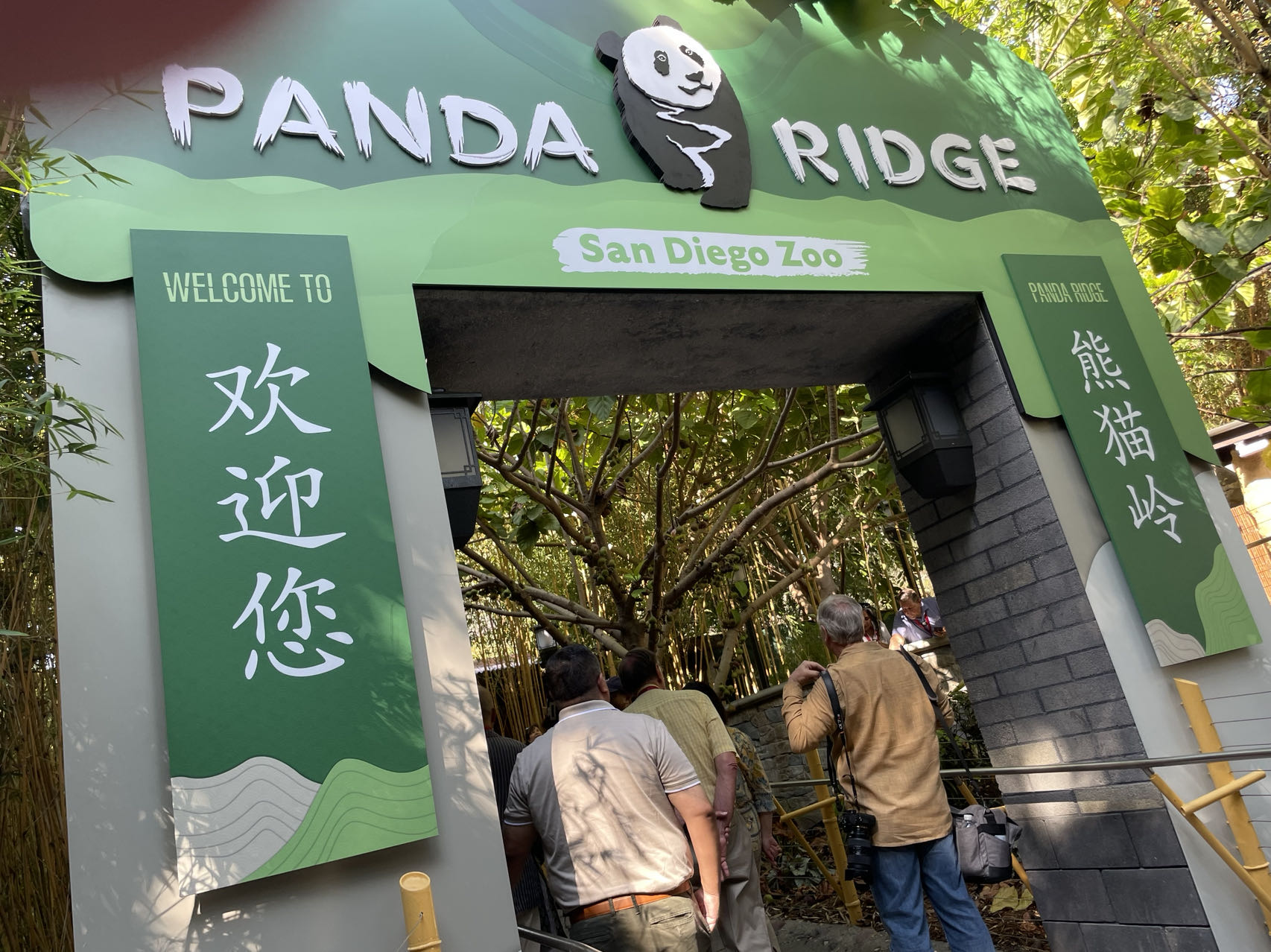 2024 08 06 panda 1