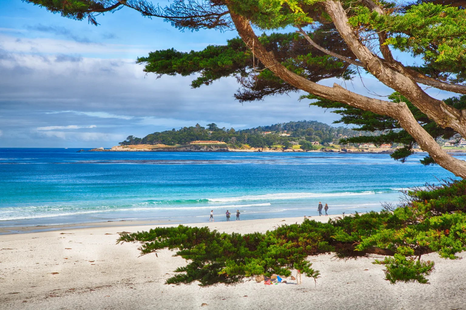 2024 10 27 25 Carmel by the sea