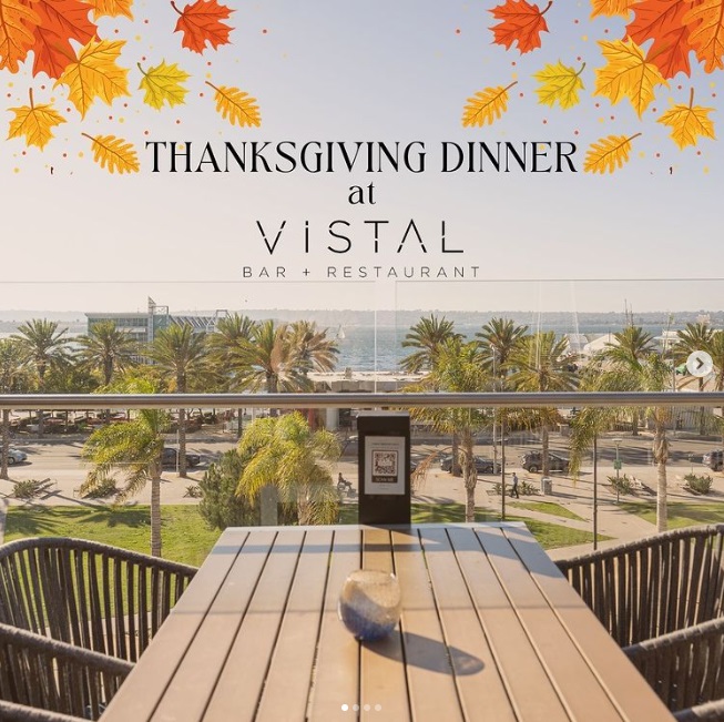 2024 11 26 Vistal