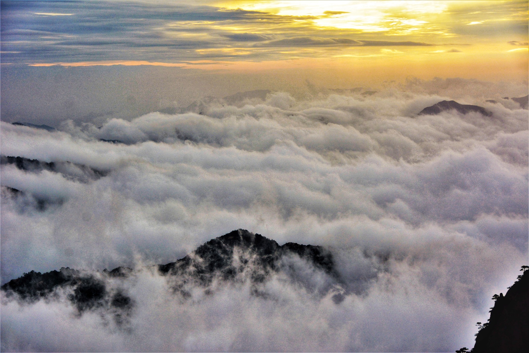 11 19 2020 雨后黄山 2